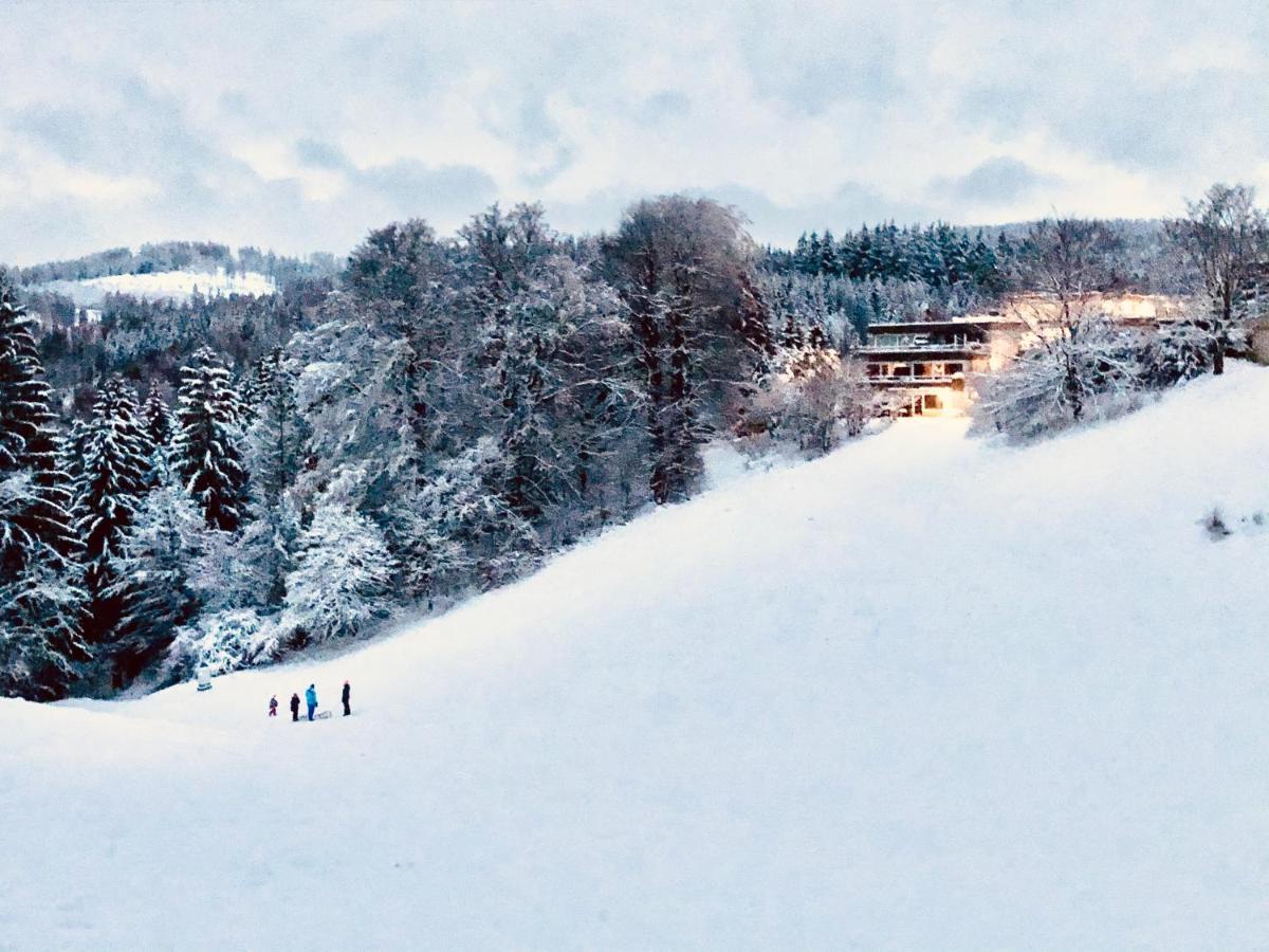 Apartmán App 647 Panoramic Hohegeiss Terrassenhaus Braunlage Exteriér fotografie